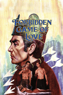 Juego de amor prohibido