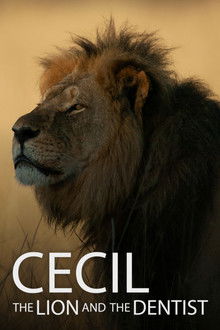 Cecil