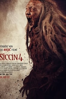 Siccin 4