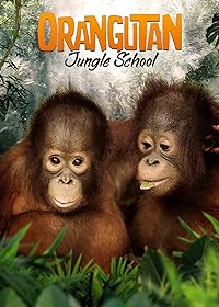 Orangutan Jungle School